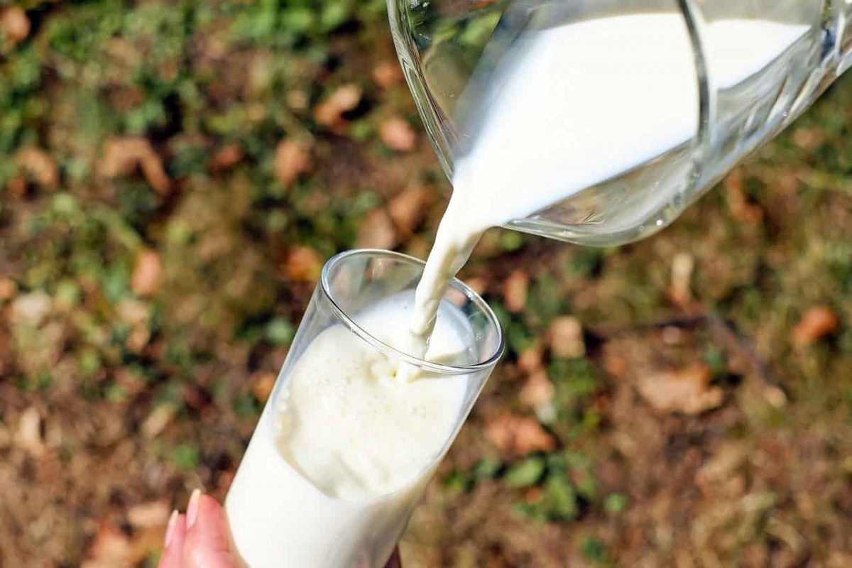 Ayran Detoksu Ile 2 Günde 2 Kilo Ver Diyetisyen Tuğba Yaprak