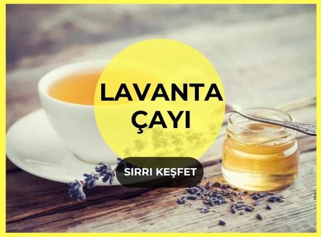 Lavanta Ay Faydalar Nas L Yap L R Diyetisyen Tu Ba Yaprak