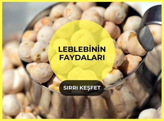 leblebi faydalari besin degerleri kalorisi diyetisyen tugba yaprak