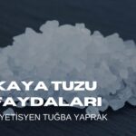 Kaya Tuzu Faydaları