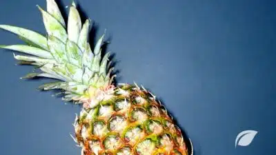 Bromelain